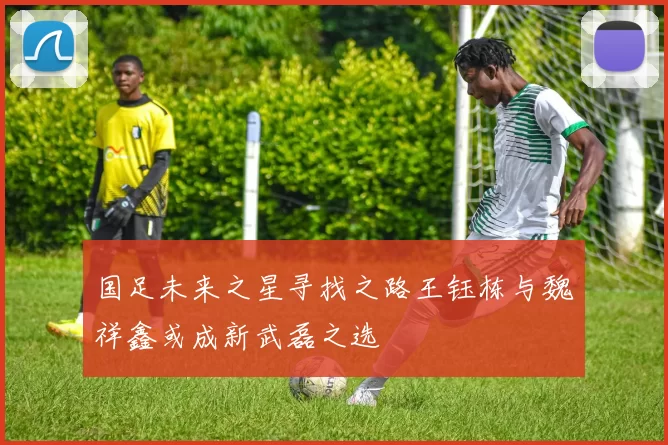 国足未来之星寻找之路王钰栋与魏祥鑫或成新武磊之选